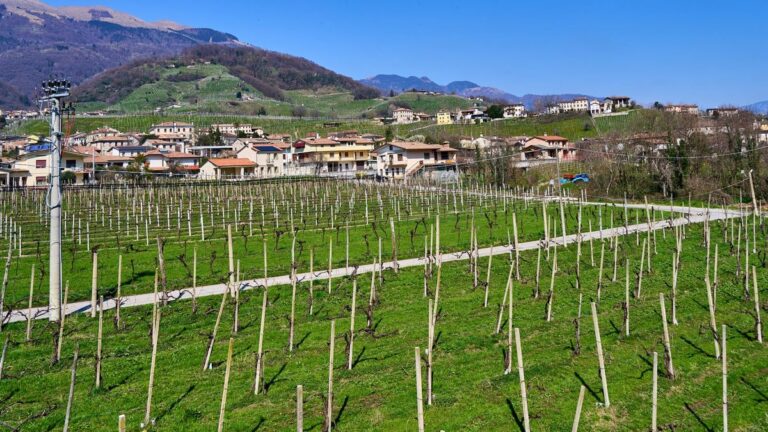 Wijngaard met bergen en een dorp in Noord-Italië, de streek van Amarone