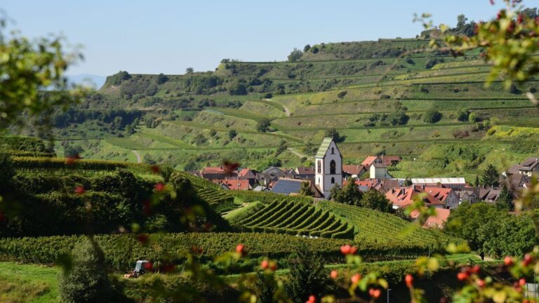 Vogtsburg im Kaiserstuhl met de wijngaarden van Baden