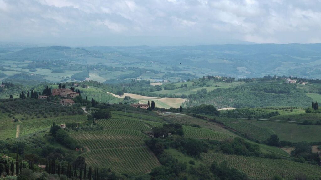 Brunello: de duurste sangiovese van Italië, en wanneer je hem beter laat staan