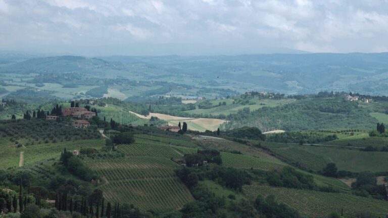 Toscaanse heuvels met wijngaarden, de streek van Brunello di Montalcino