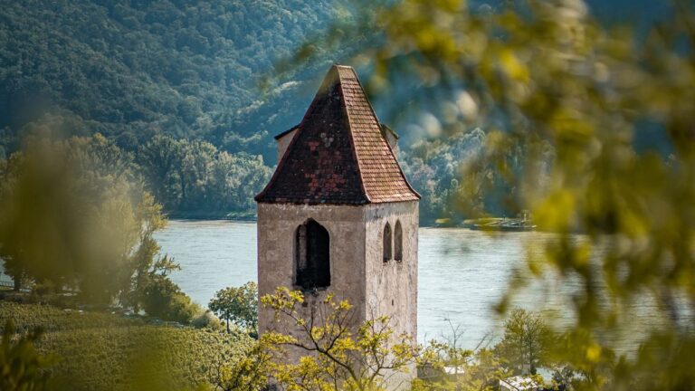 Klokkentoren en wijngaarden bij Krems, aan de rand van het Kamptal