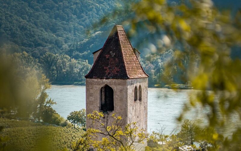 Klokkentoren en wijngaarden bij Krems, aan de rand van het Kamptal