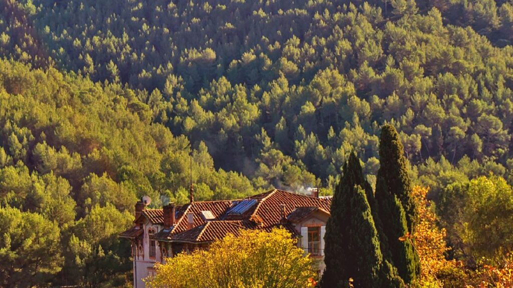 Wijngaard met een huis in de Provence, waar Provence rosé vandaan komt