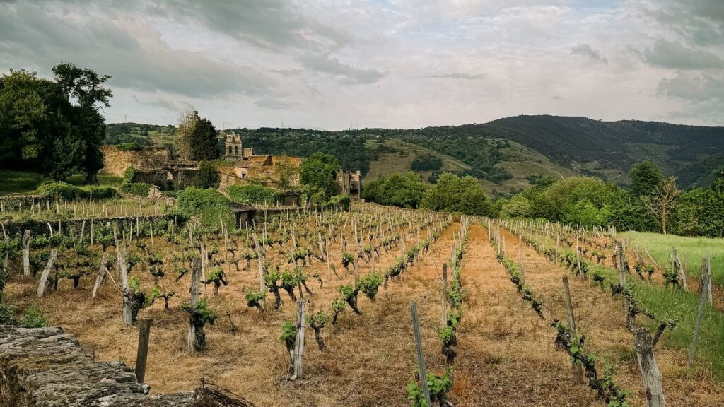 Rías Baixas: de Spaanse wijn die naar de Atlantische Oceaan smaakt
