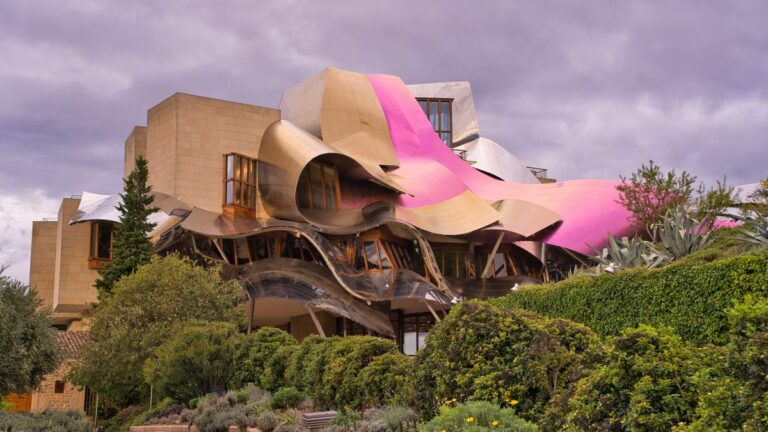 Wijngaarden bij Elciego in Rioja, Spanje
