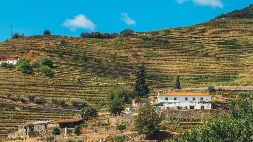 Vinho Verde betekent niet groene wijn, en dat verandert wat je koopt