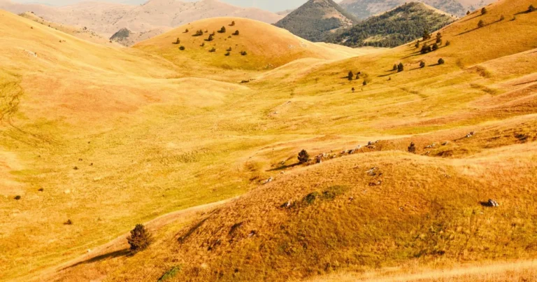 Glooiende heuvels in de Abruzzen in de herfst
