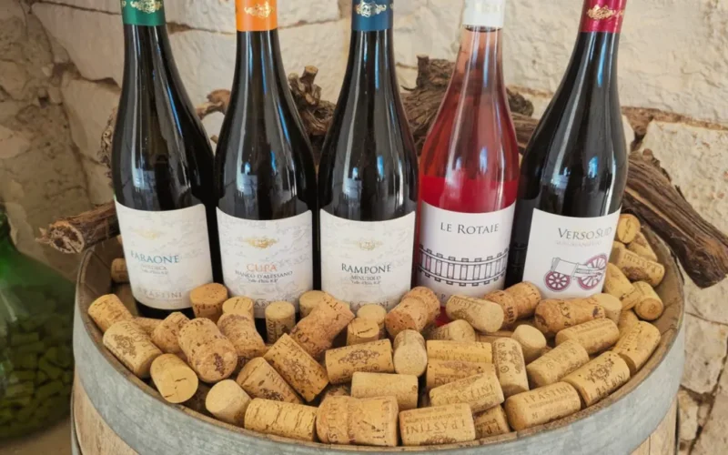 Lambrusco: rode bubbels die eigenlijk droog horen te zijn